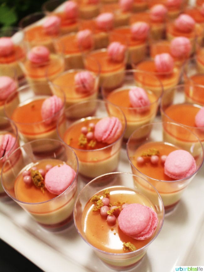 chocolate panna cotta
