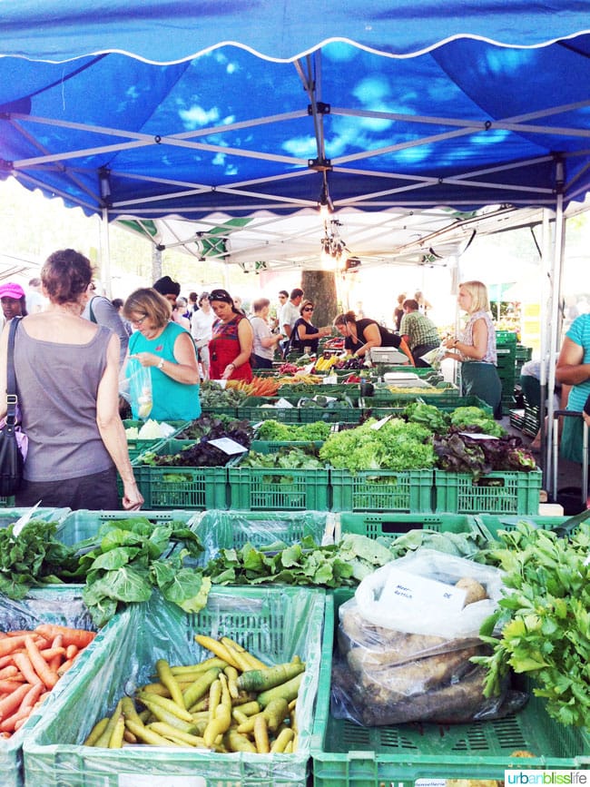 Five Tips for Healthy Travel on UrbanBlissLife.com