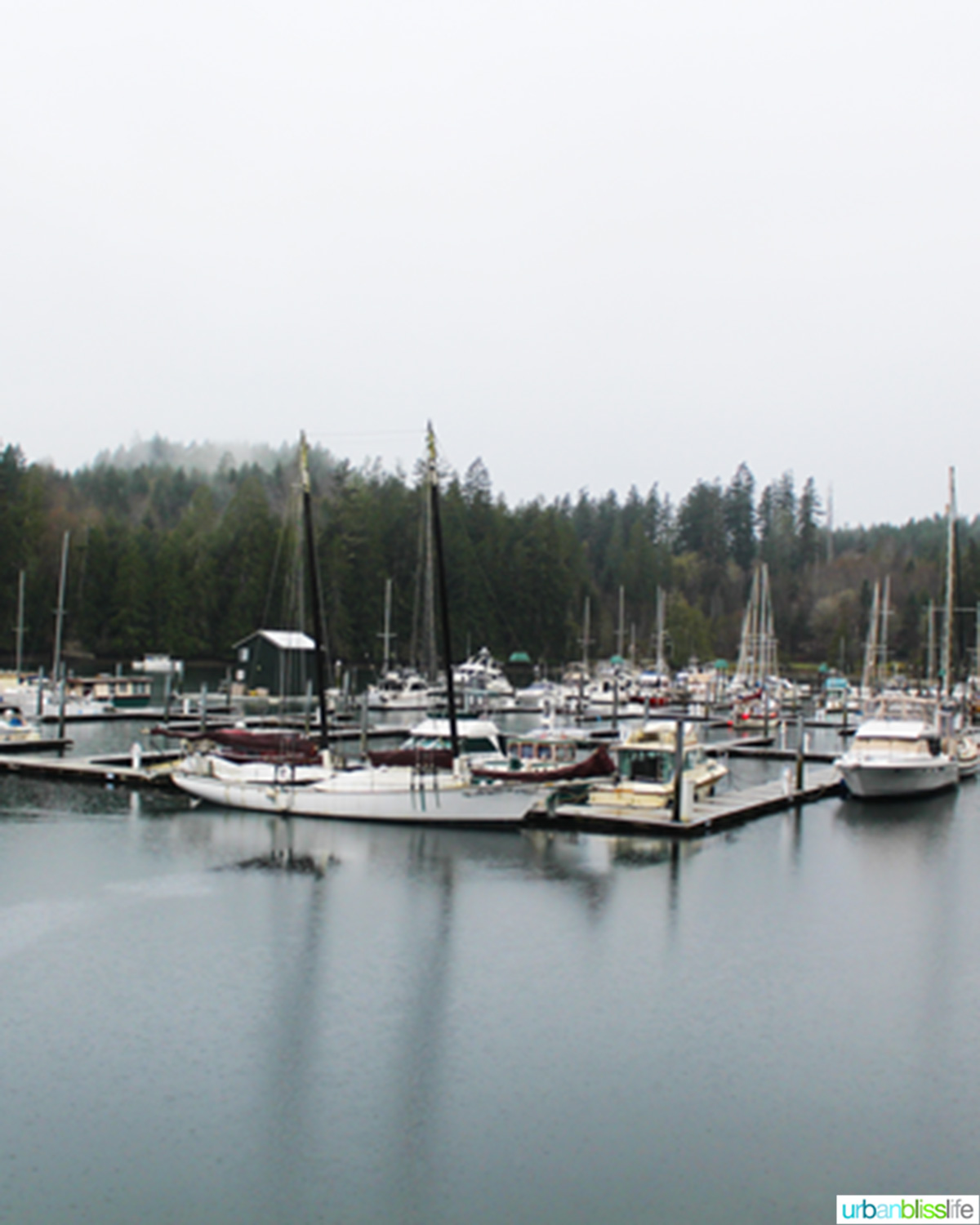 boats in hood canal in oregon