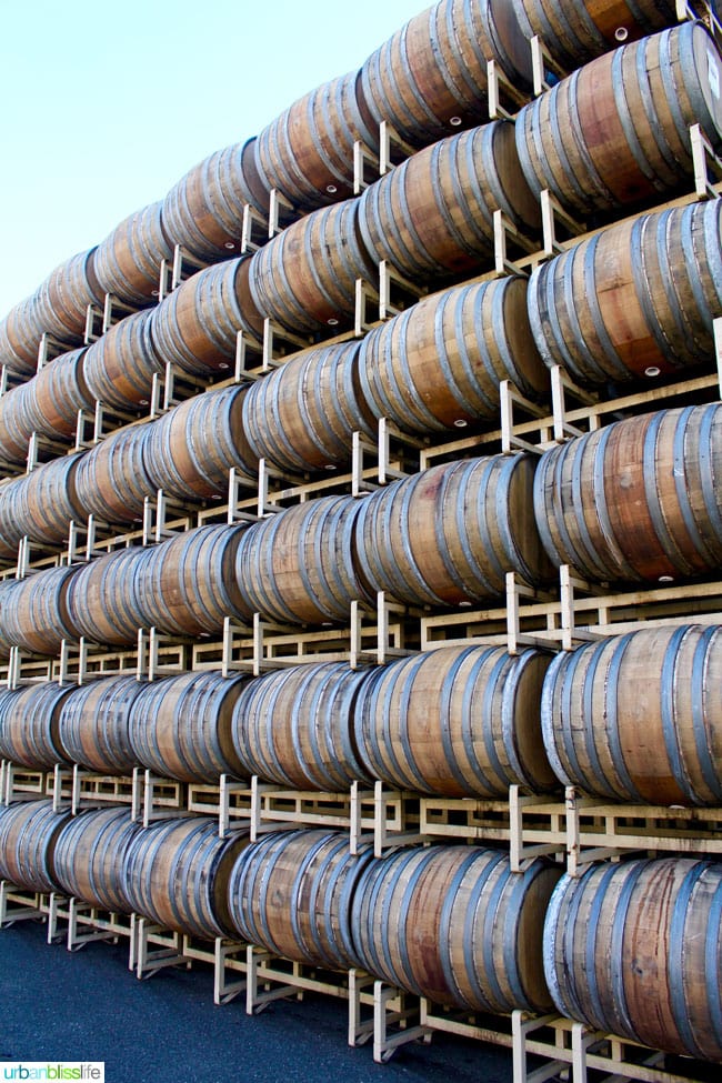 Rodney Strong Vineyards