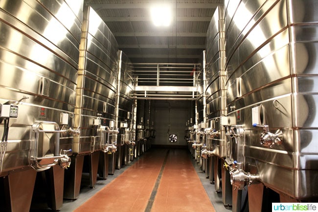 rows of stainless steel vats in winery.