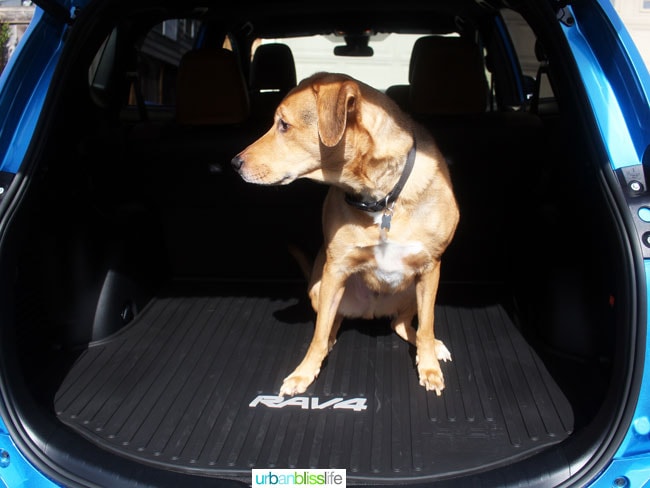 2016 Toyota Rav4 cargo room