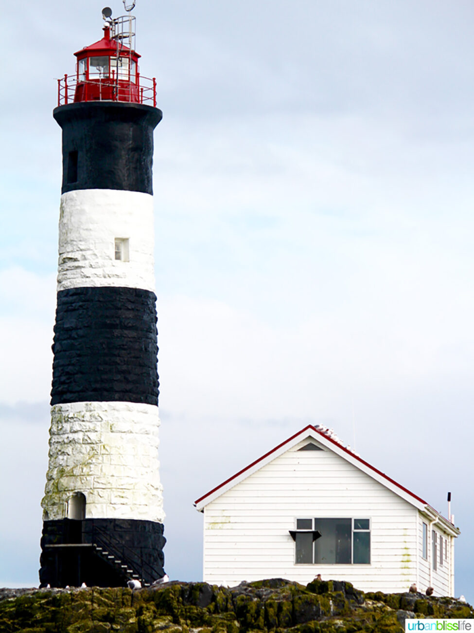 lighthouse in victoria, bc