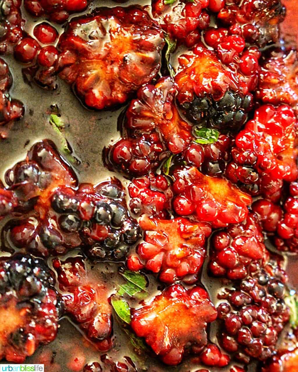 blackberry balsamic sauce