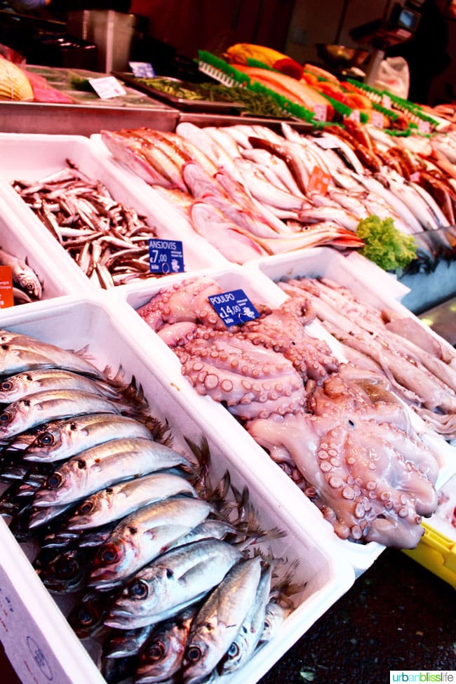 What to Eat and Drink in Amsterdam. Popular Dutch food, top restaurants, great outdoor markets. Read more on UrbanBlissLife.com