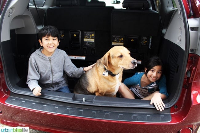 kids and god in 2016 toyota sienna