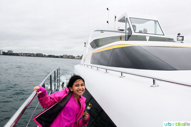 Whale & Wildlife Watching Tours in Victoria BC on UrbanBlissLife.com