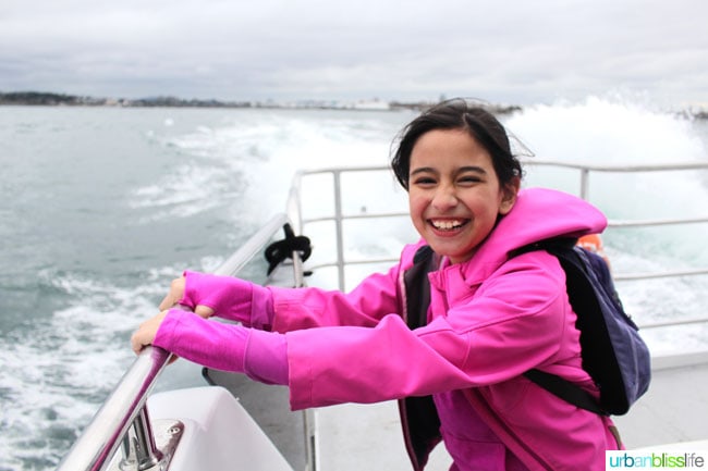 Whale & Wildlife Watching Tours in Victoria BC on UrbanBlissLife.com