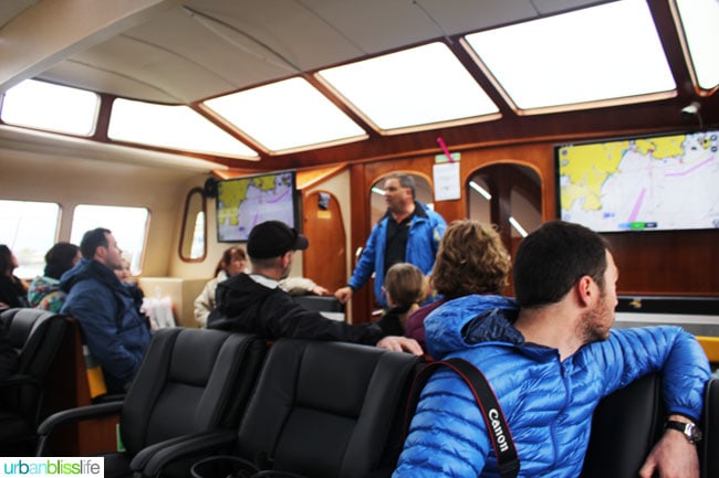 Whale & Wildlife Watching Tours in Victoria BC on UrbanBlissLife.com