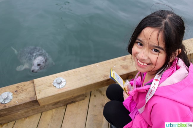 Whale & Wildlife Watching Tours in Victoria BC on UrbanBlissLife.com