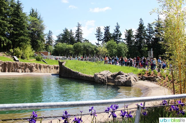 Oregon Zoo Elephant Water Walkway