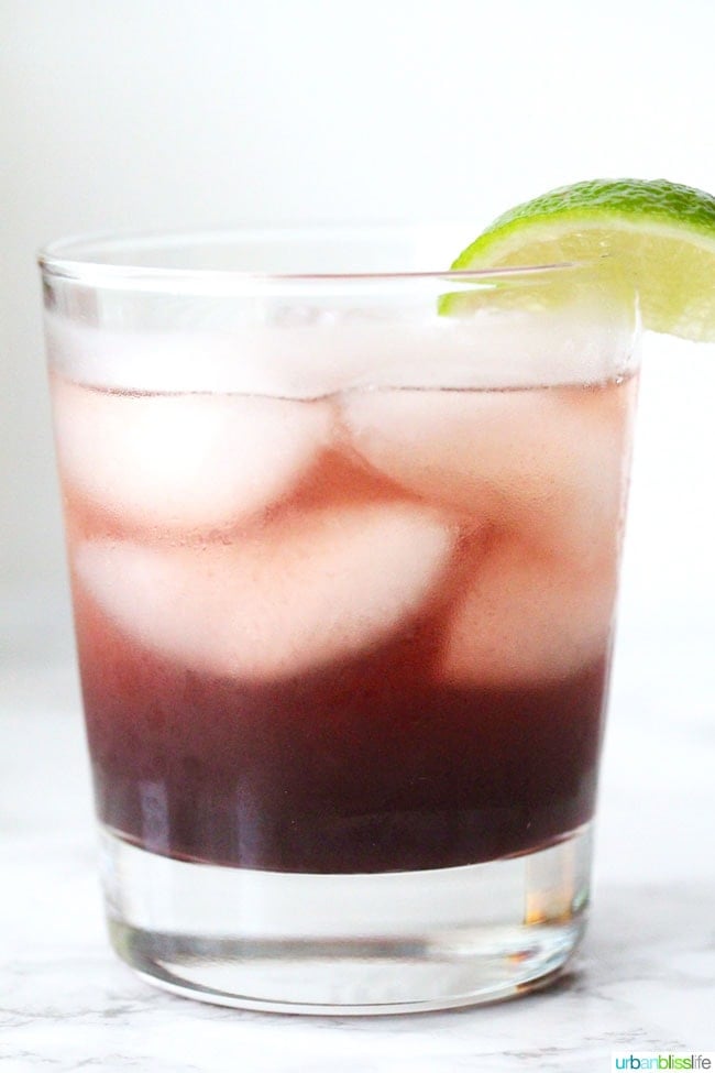 Hibiscus Cocktail Cooler