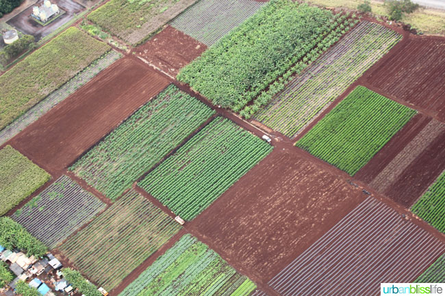 Helicopter Ride over Oahu Island, Hawaii. Amazing scenic photos on UrbanBlissLife.com