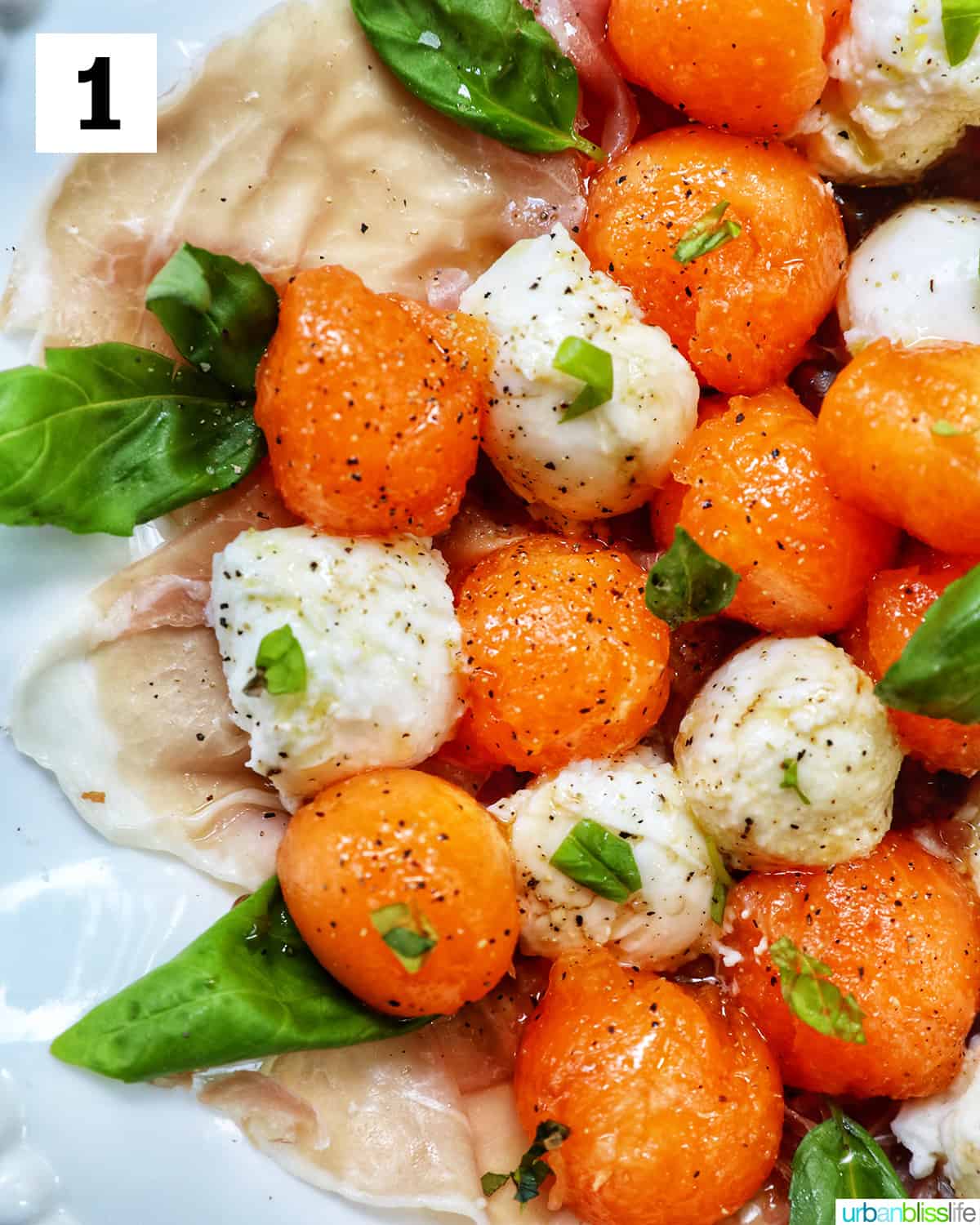 cantaloupe mozzarella prosciutto basil caprese salad on a white plate.
