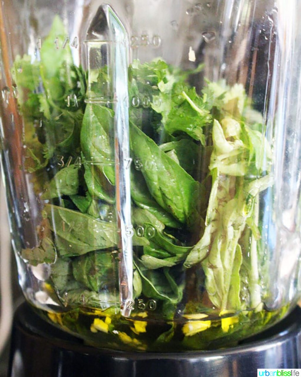 greens in a blender for pesto