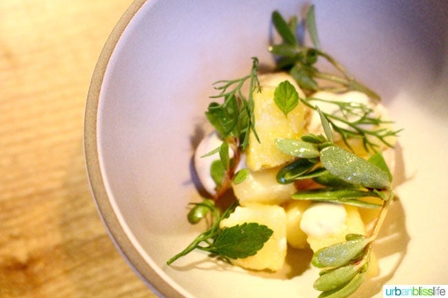 potato, sunflower yogurt and dill at Farm Spirit in Portland, Oregon