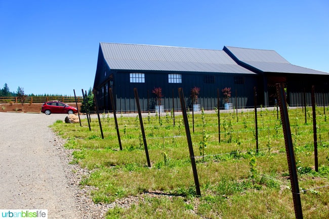 Hazelfern Cellars