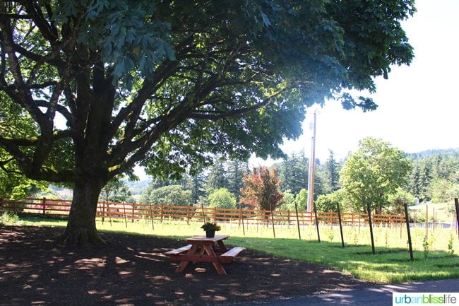 Hazelfern Cellars is a new, family-owned winery with amazing Syrah, Pinot Noir, and Rosรฉ in Oregon Wine Country - details on UrbanBlissLife.com