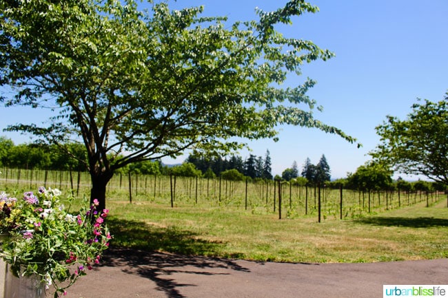 Hazelfern Cellars is a new, family-owned winery with amazing Syrah, Pinot Noir, and Rosรฉ in Oregon Wine Country - details on UrbanBlissLife.com