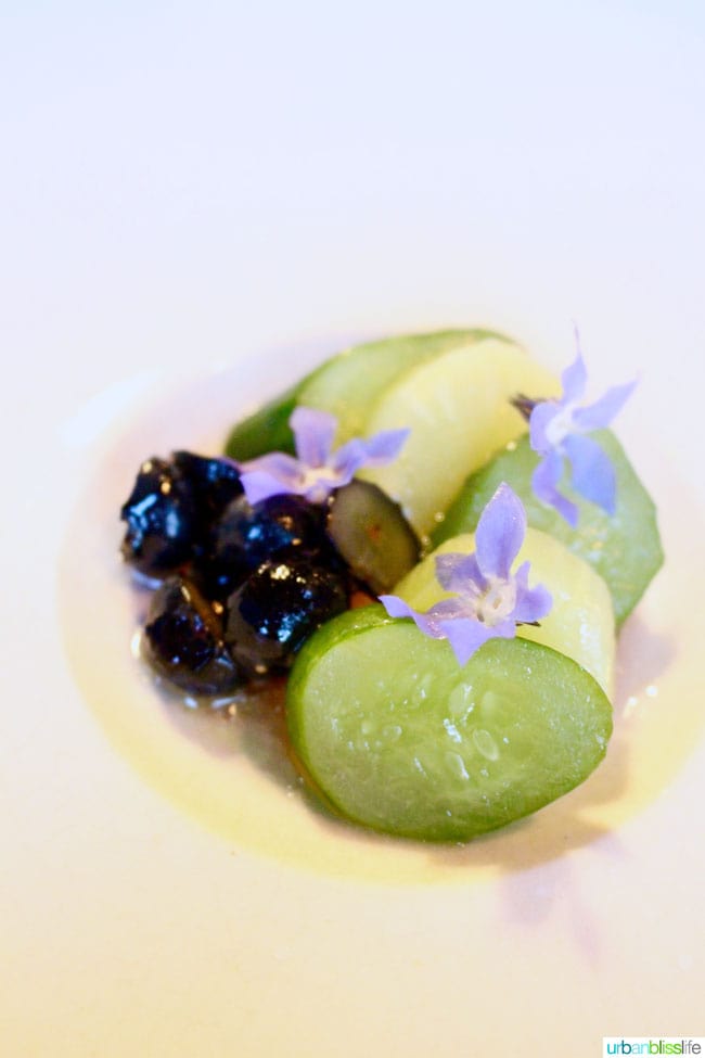 cucumber, blueberry and rhubarb at Farm Spirit in Portland, Oregon
