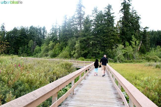 Saint Helens Travel - Summer's End on UrbanBlissLife.com