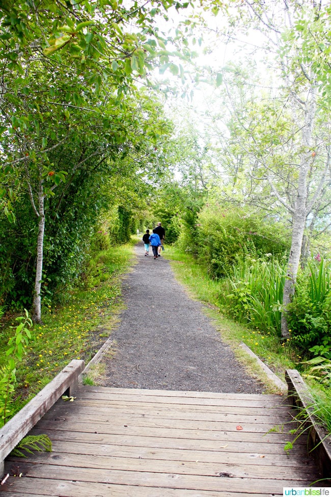 Mount Saint Helens Travel - Summer's End on UrbanBlissLife.com