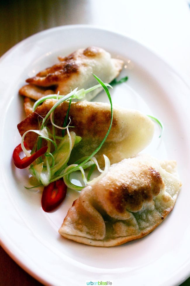 dumplings on a plate.