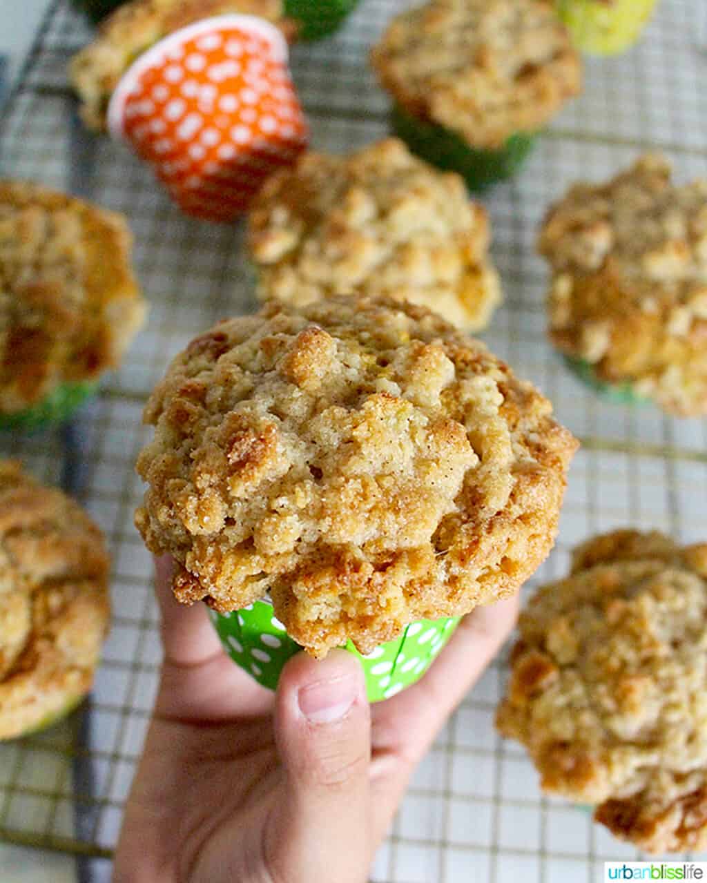 hand holding a cinnamon streusel muffin.