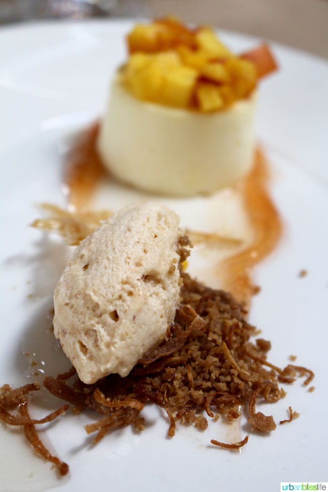 knudsen-vineyards-wine-mushroom-pairing-portland