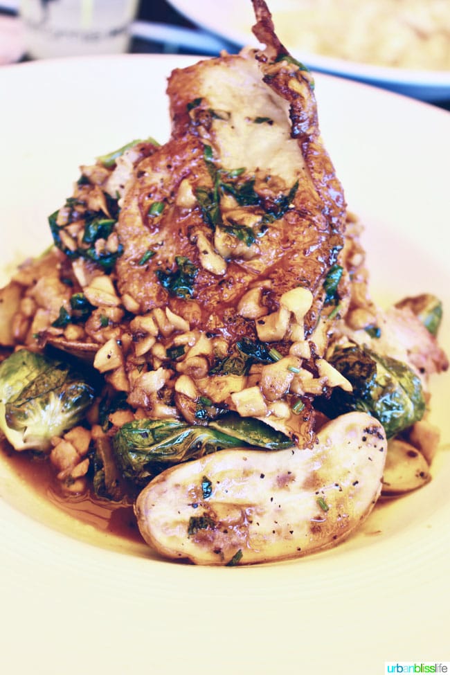 New Next Chapter Menu items include elevated dishes at California Pizza Kitchen http://28toppicks.com