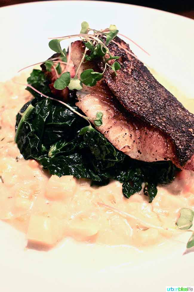 Red Star Tavern fall menu features elevated Northwest cuisine. Restaurant review on http://28toppicks.com