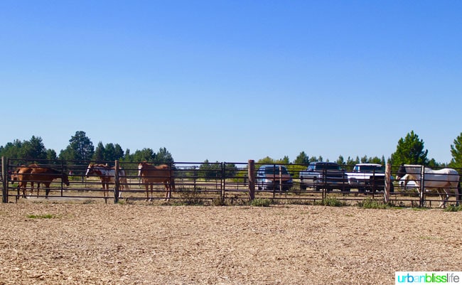 Sunriver Resort in Bend, Oregon family travel review on http://28toppicks.com