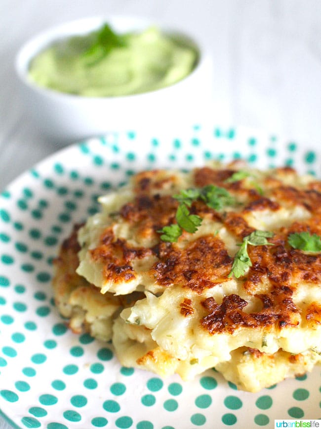fritters close up