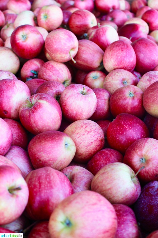 Kiyokawa Orchards in Hood River, Oregon. UrbanBlissLife.com