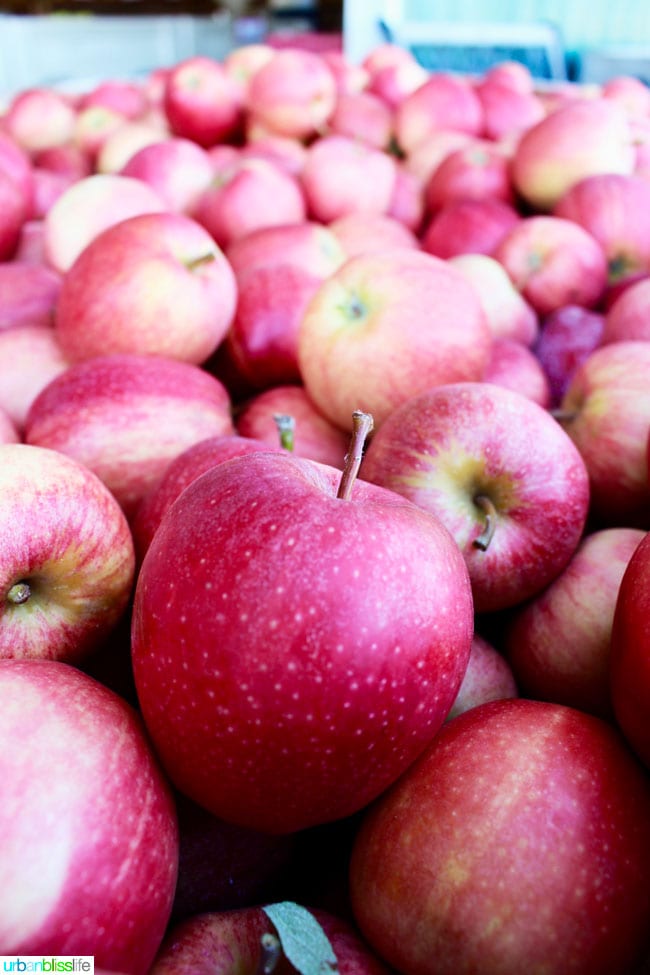 Kiyokawa Orchards in Hood River, Oregon. UrbanBlissLife.com