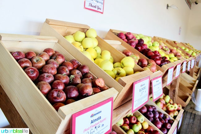 Kiyokawa Orchards in Hood River, Oregon. UrbanBlissLife.com