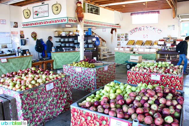 Kiyokawa Orchards in Hood River, Oregon. UrbanBlissLife.com