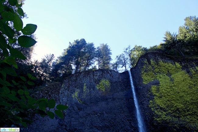 Latourell Falls Columbia River Gorge