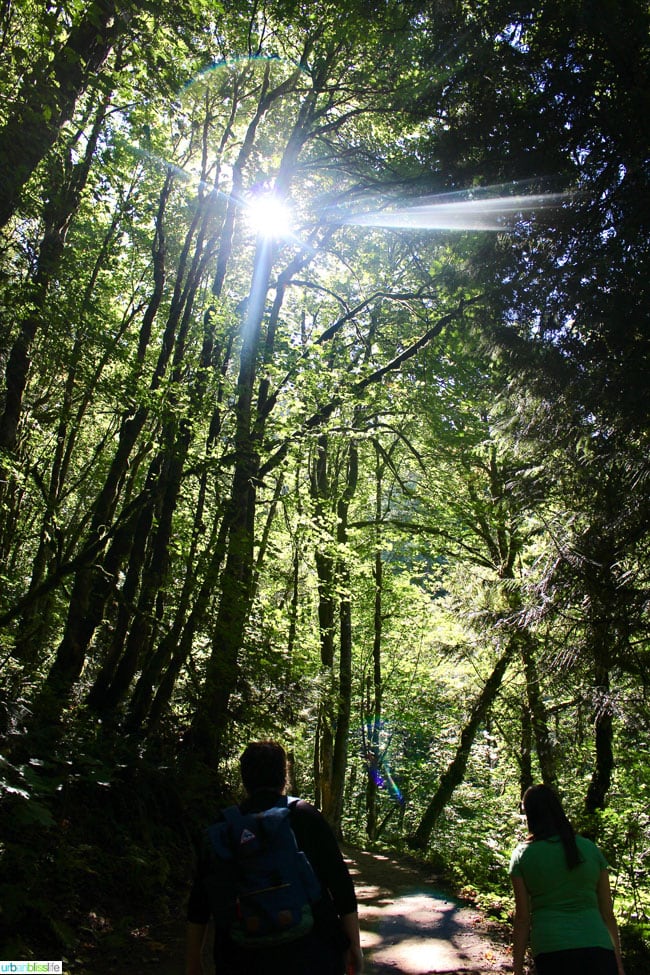 Columbia Gorge Hikes - Latourell Falls