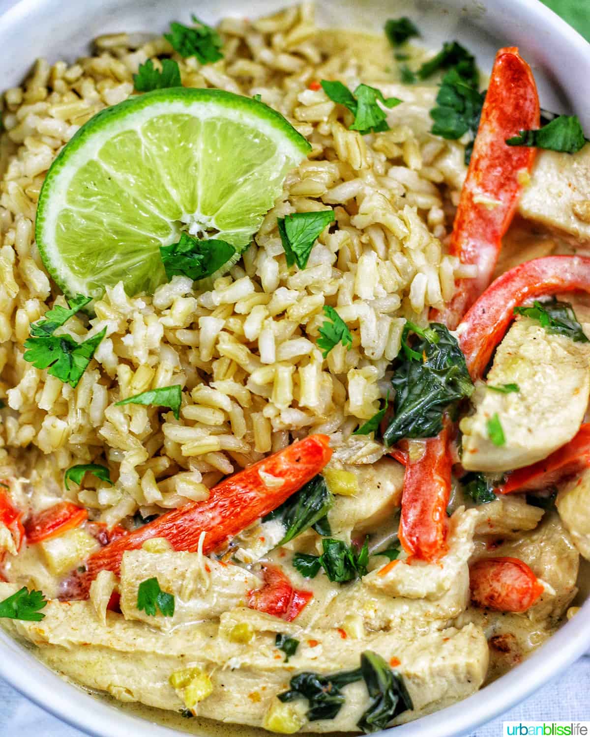 Thai coconut lime chicken with red bell pepper slices and lime slices over rice in a bowl.