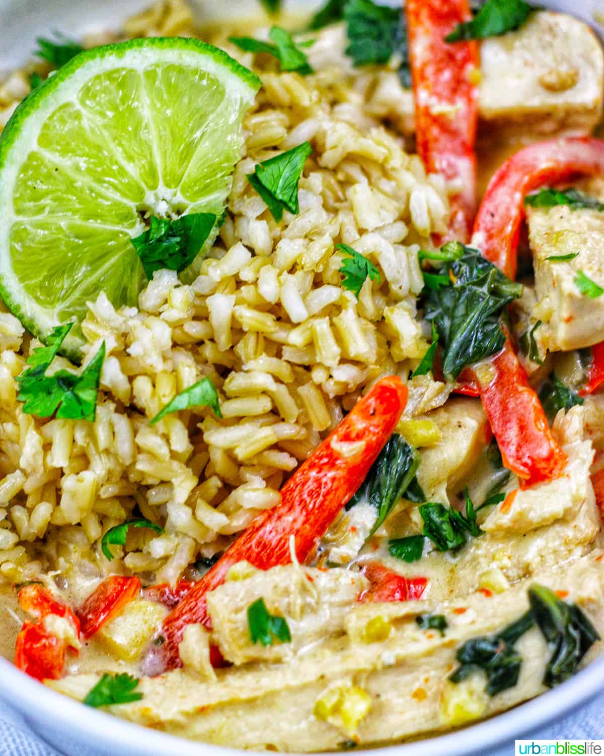 Thai coconut lime chicken with red bell pepper slices and lime slices over rice in a bowl.