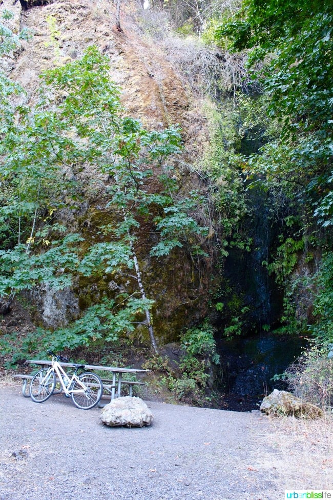 Biking the Historic Columbia River Highway, travel tips on UrbanBlissLife.com