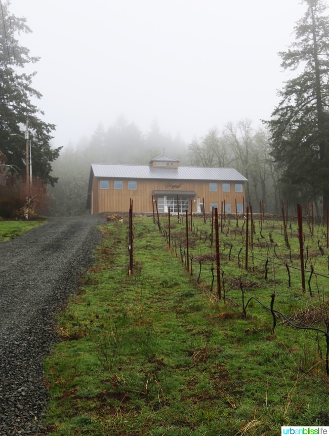Hillsboro wineries - Blizzard Wines