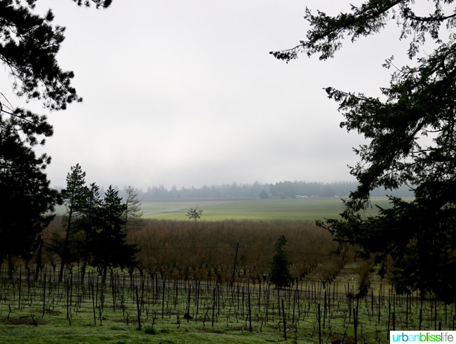 Blizzard Wines builds new tasting room in Hillsboro, Oregon. Preview on UrbanBlissLife.com