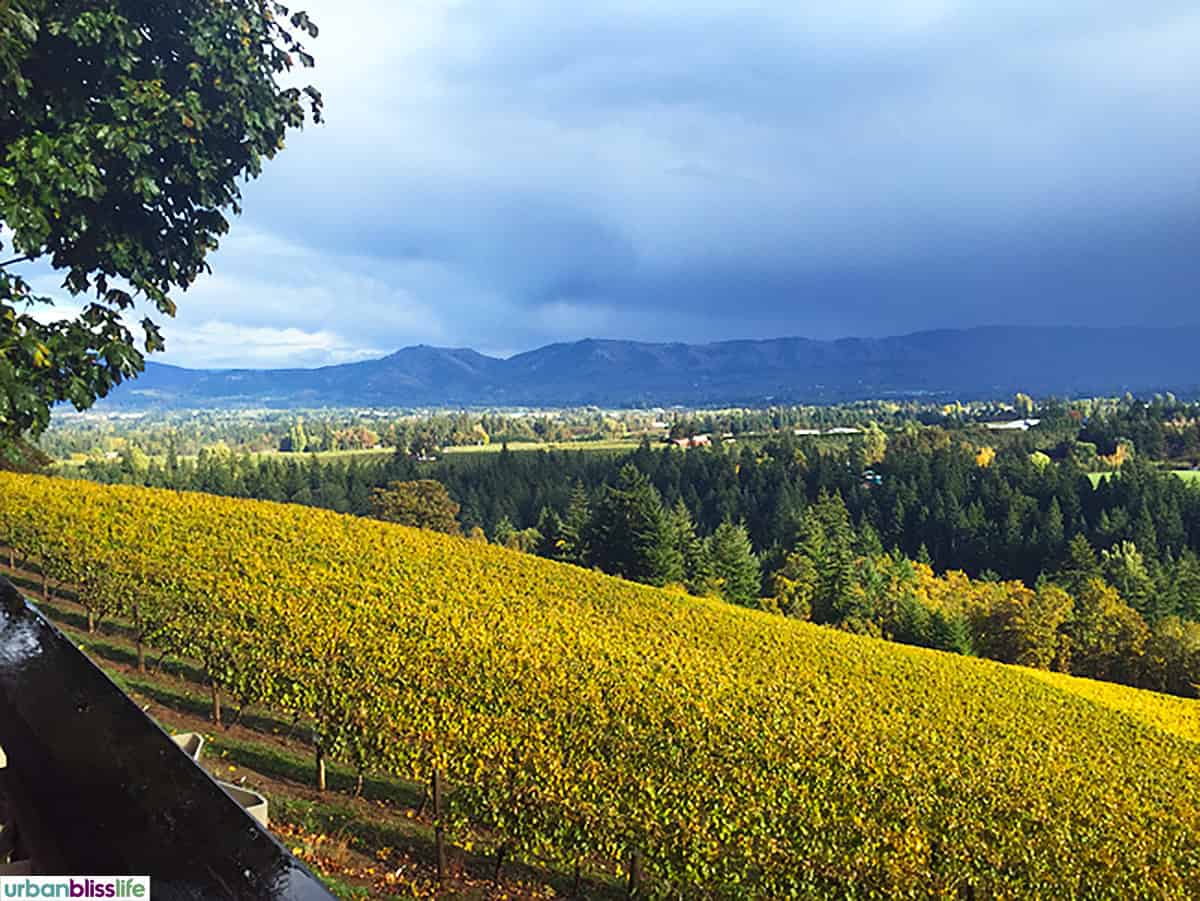 Phelps Creek Vineyards.
