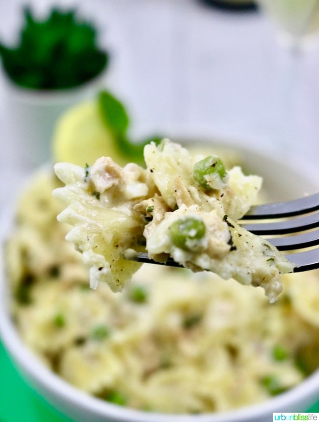 salmon pasta close up