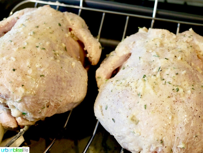 uncooked chickens