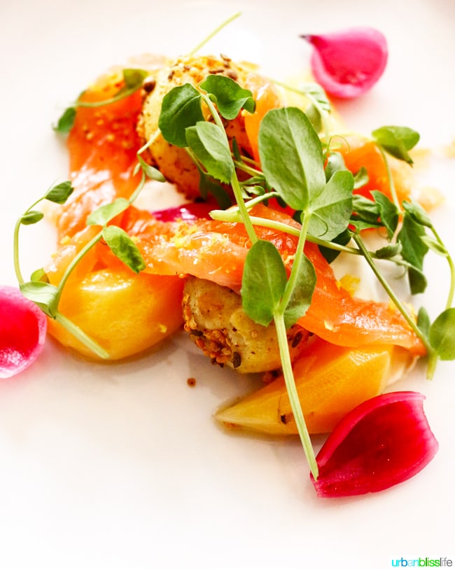 cured chinook salmon at salishan restaurant samphire
