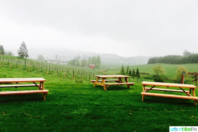 Outdoor benches at Domaine Divio Oregon winery in newberg