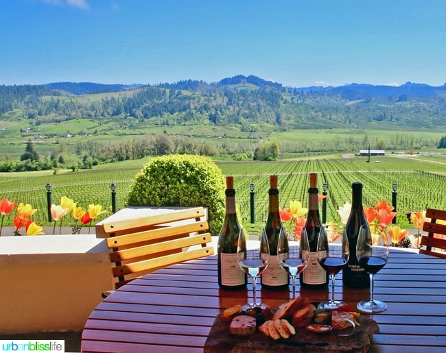 King-Estate-Winery-Tasting-Charcuterie-Views
